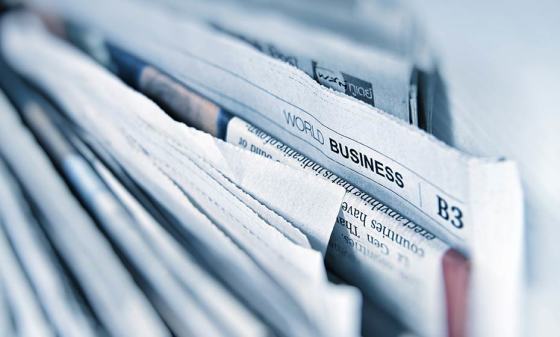 タンパク質含有量 75％の加水分解鶏肉タンパク質パウダー