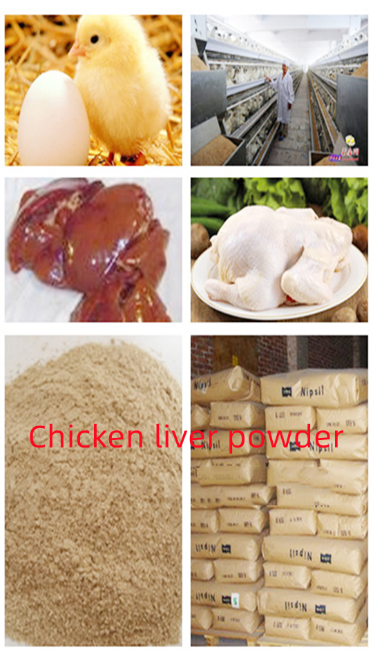 亨星実業：8 年の專念、アジアのイノベーションリーダーとして躍進