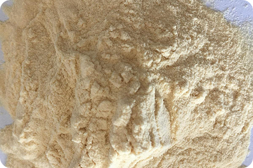 加水分解タンパク質