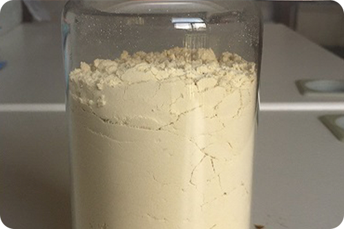 植物性タンパク質